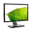 Dell Professional P2210