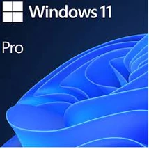 Windows 11 PRO OEM